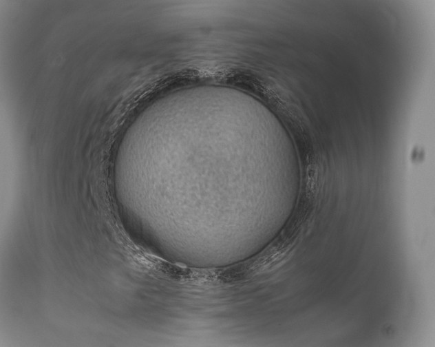 X0000112111249200908111434