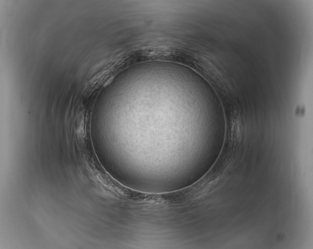 X0000112111250200908111434