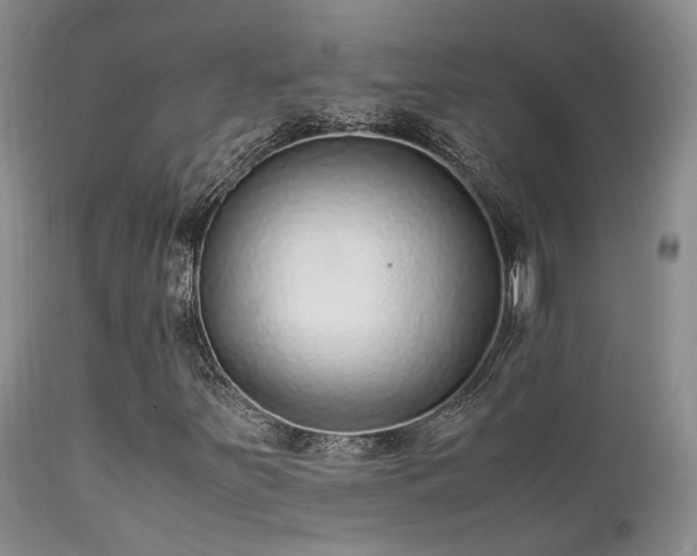 X0000112111251200908111434