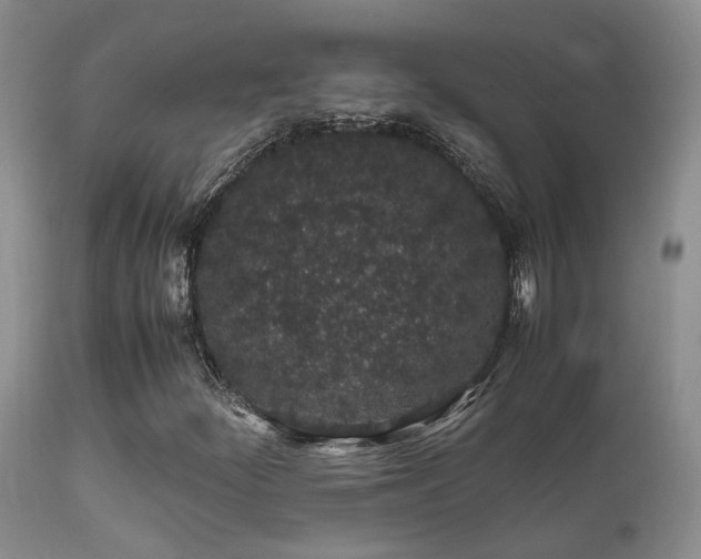 X0000112111252200908111434