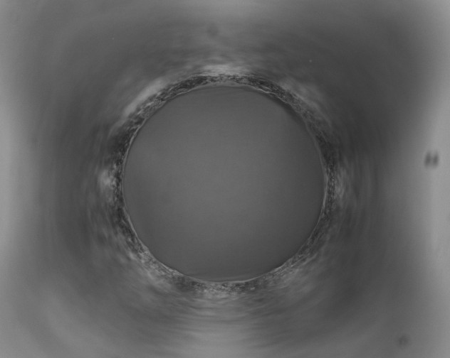 X0000112111254200908111434