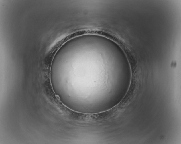 X0000112111255200908111433