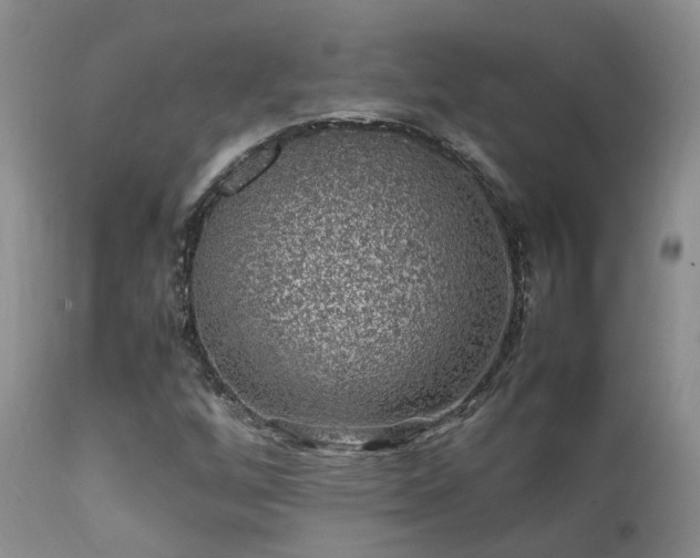 X0000112111256200908111433