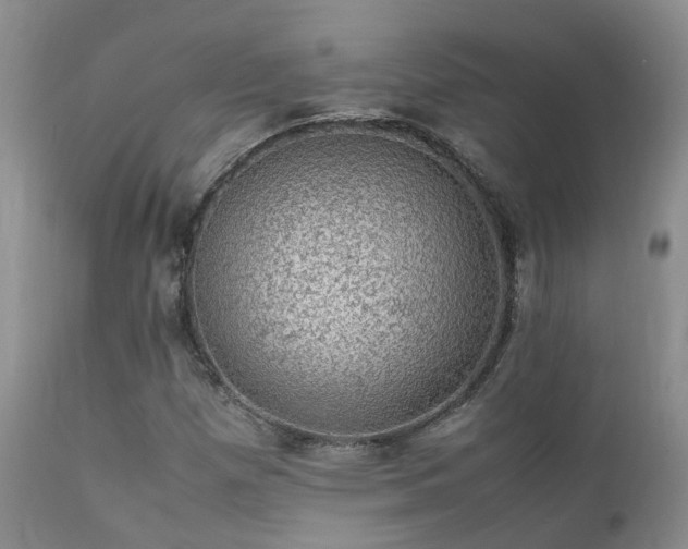 X0000112111257200908111433