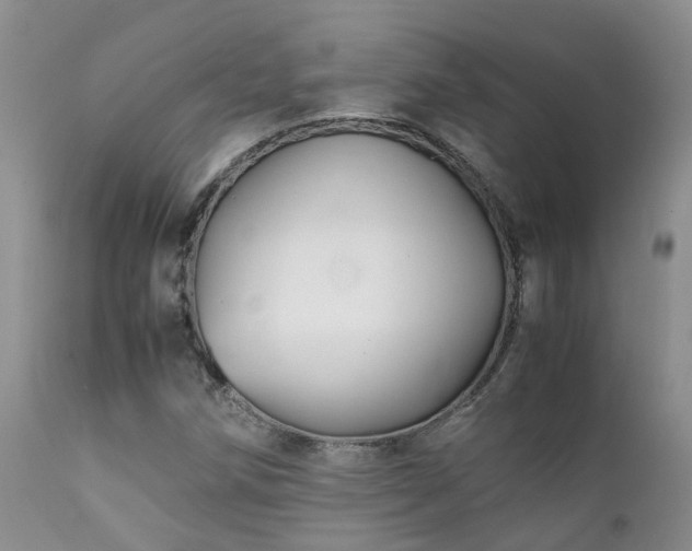 X0000112111258200908111433