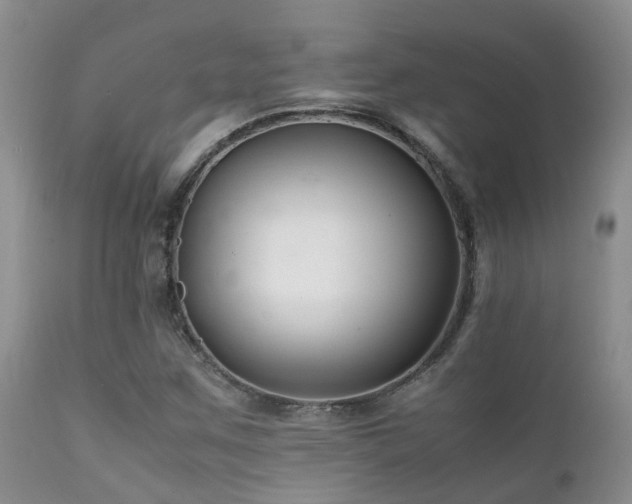 X0000112111259200908111433