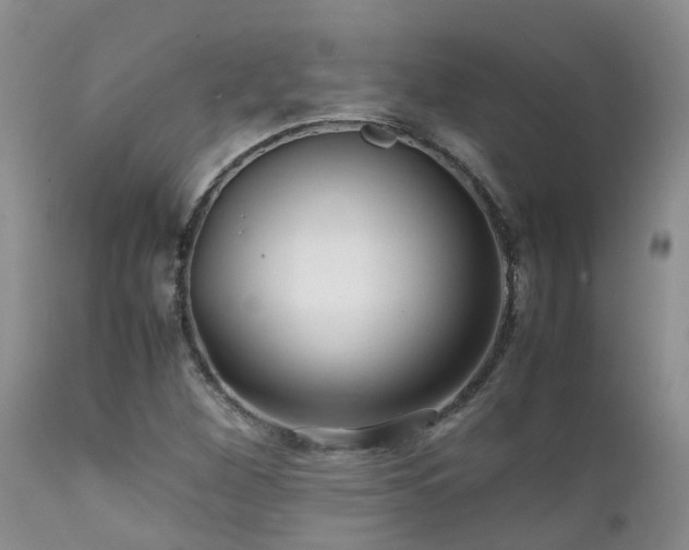 X0000112111260200908111433