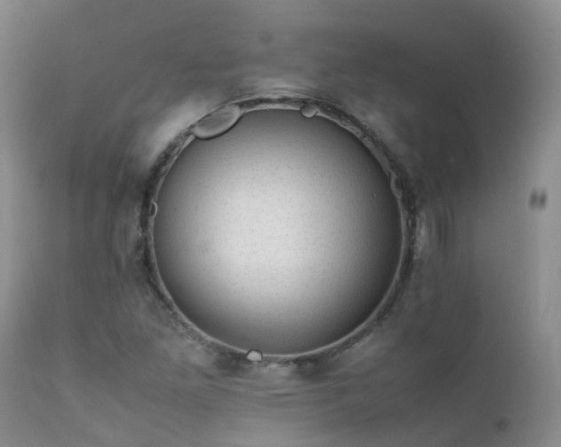 X0000112111261200908111433