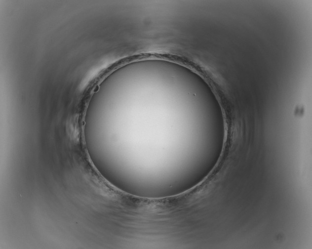 X0000112111262200908111433