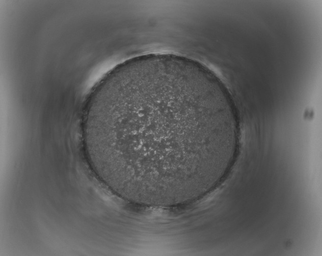 X0000112111263200908111433