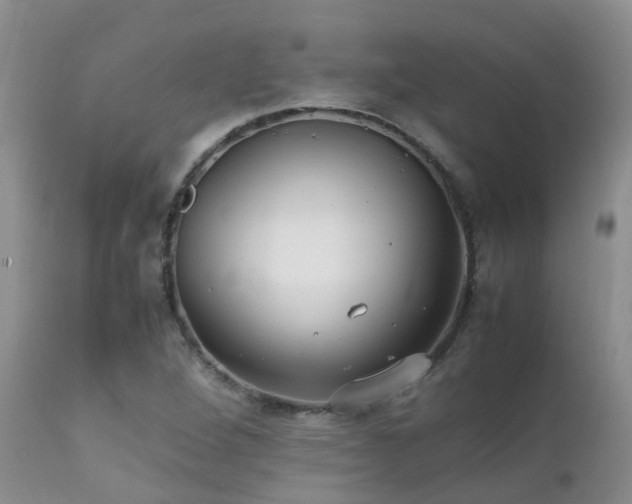 X0000112111264200908111433