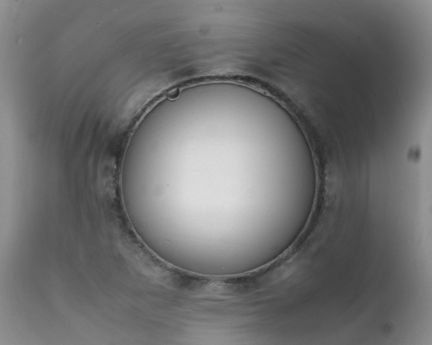 X0000112111265200908111433