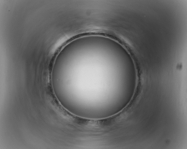 X0000112111267200908111433