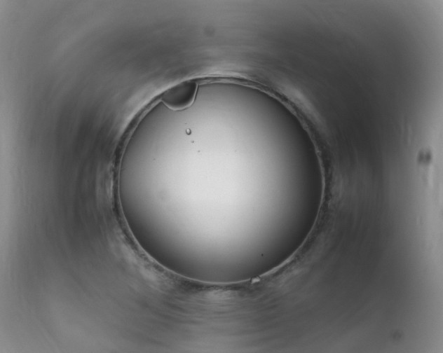 X0000112111268200908111433