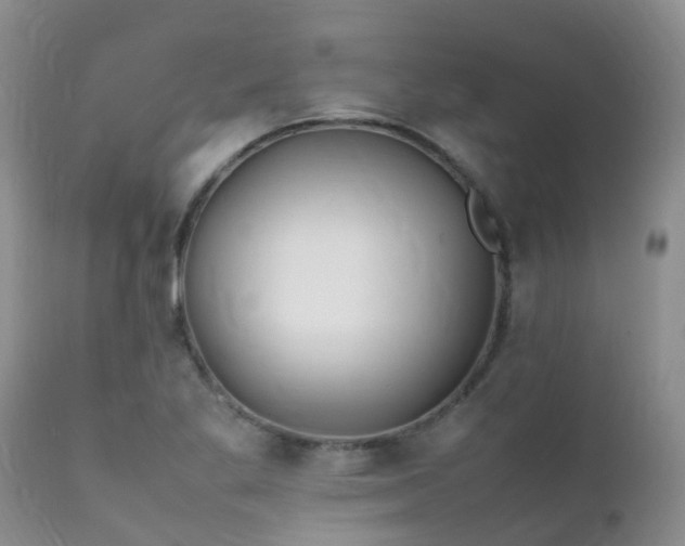 X0000112111269200908111433