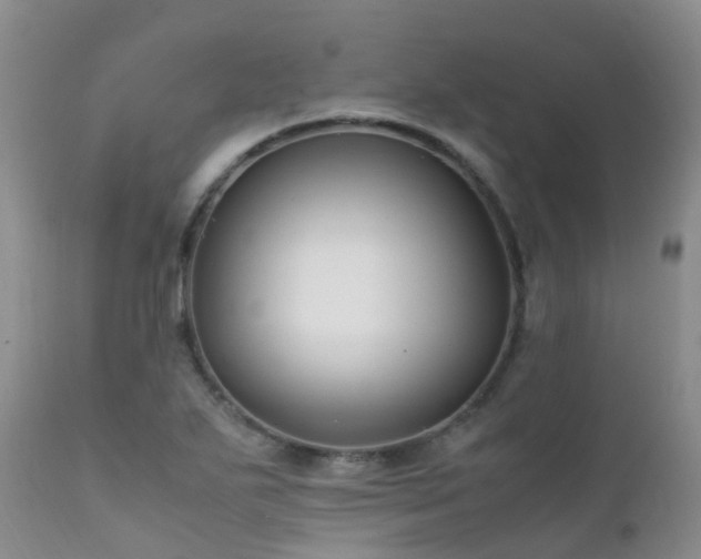 X0000112111271200908111433