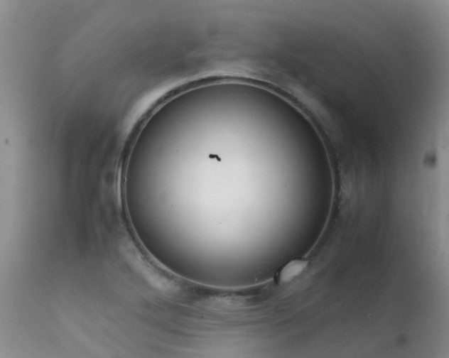 X0000112111272200908111433