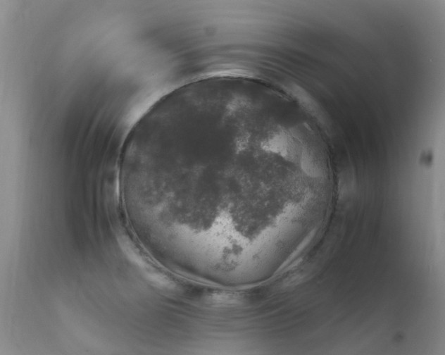 X0000112111274200908111433