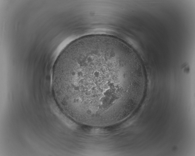 X0000112111275200908111433