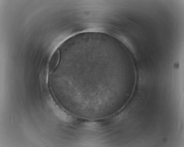 X0000112111276200908111433