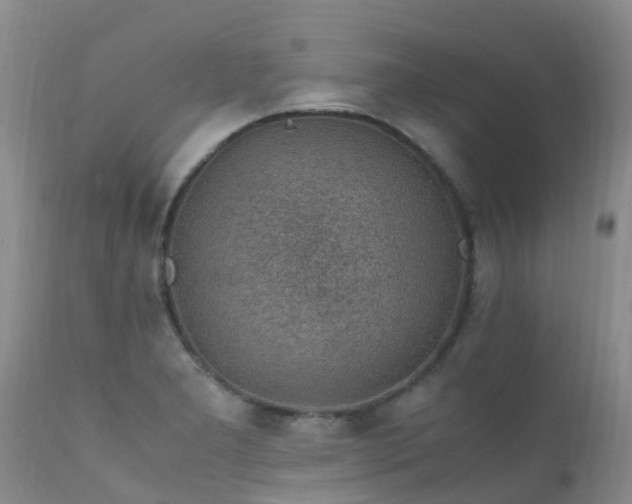 X0000112111277200908111433