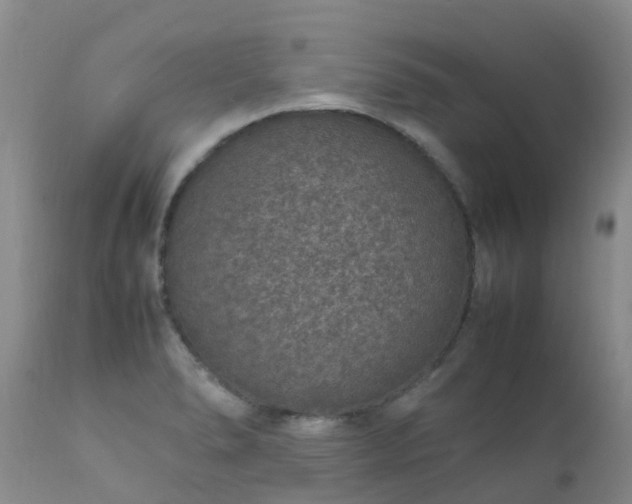 X0000112111278200908111433