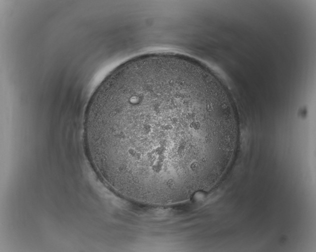 X0000112111279200908111433