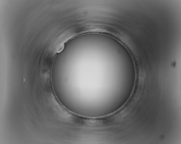 X0000112111281200908111433