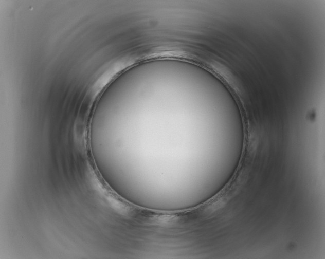 X0000112111282200908111433