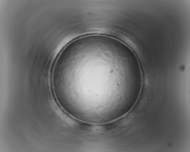 X0000112111283200908111433