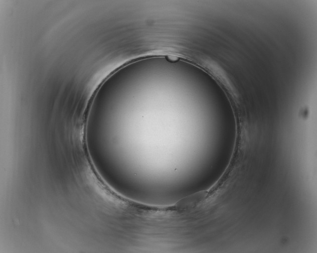 X0000112111284200908111433