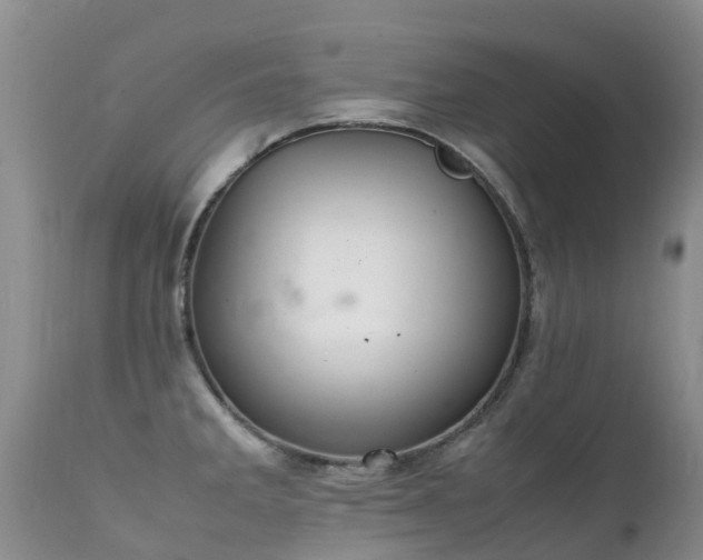 X0000112111285200908111433