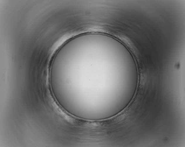 X0000112111286200908111433