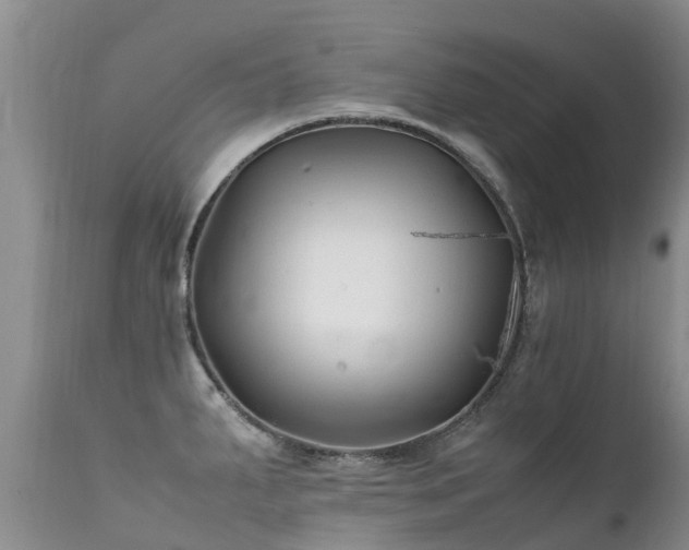 X0000112111287200908111433