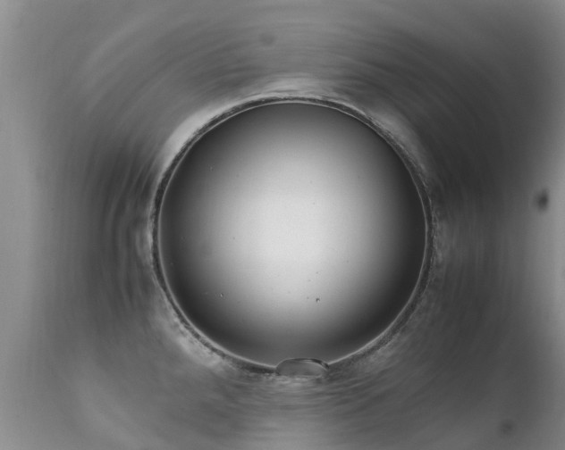 X0000112111288200908111433