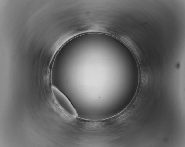 X0000112111292200908111433