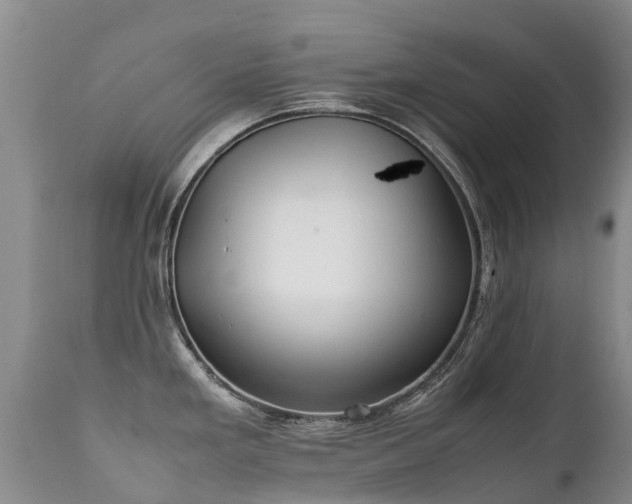 X0000112111293200908111433