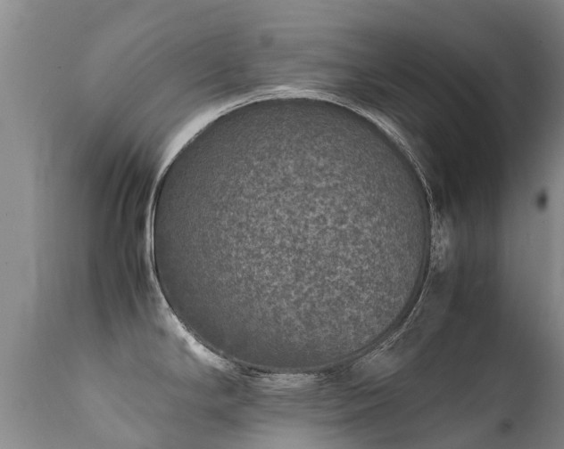 X0000112111294200908111433