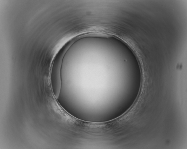 X0000112111296200908111433