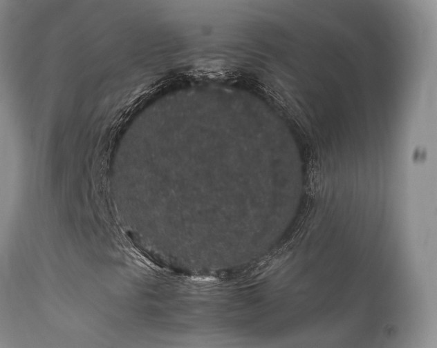 X0000112111297200908111432