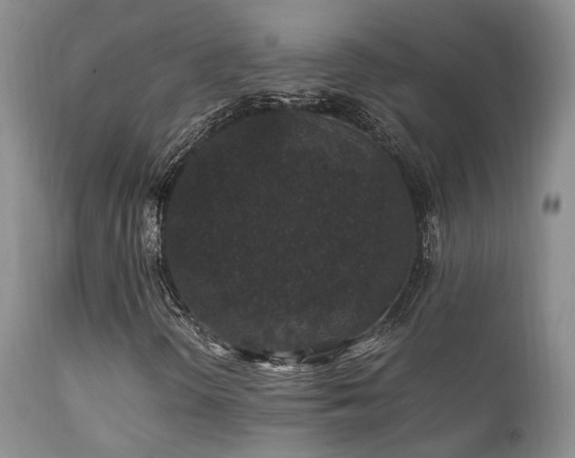 X0000112111298200908111432