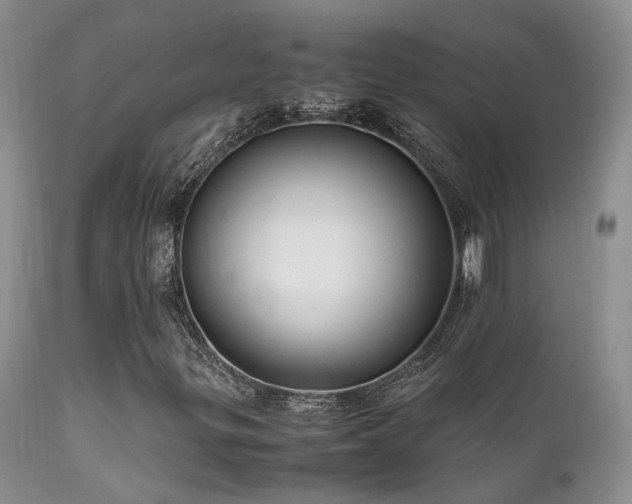 X0000112111299200908111432