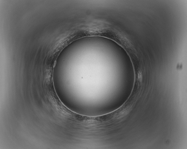 X0000112111300200908111432