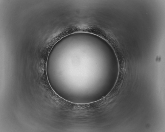 X0000112111301200908111432