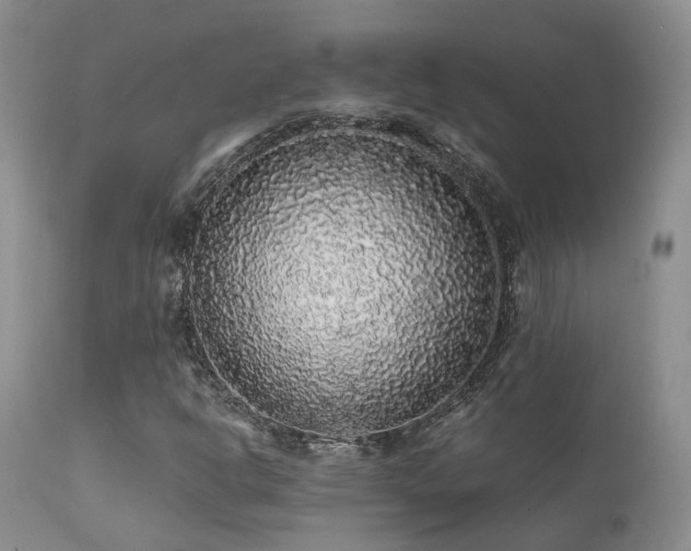 X0000112111302200908111432