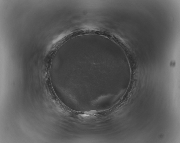 X0000112111303200908111432