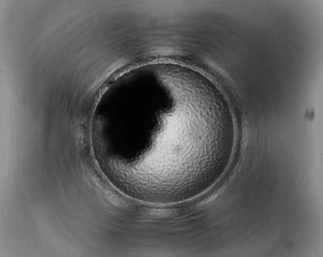 X0000112111305200908111432