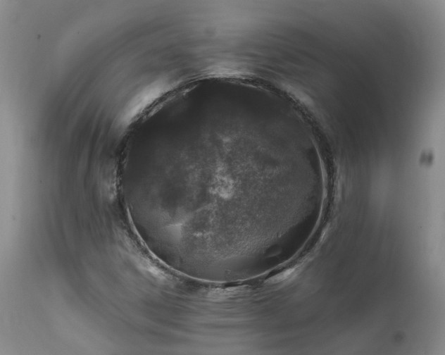 X0000112111306200908111432