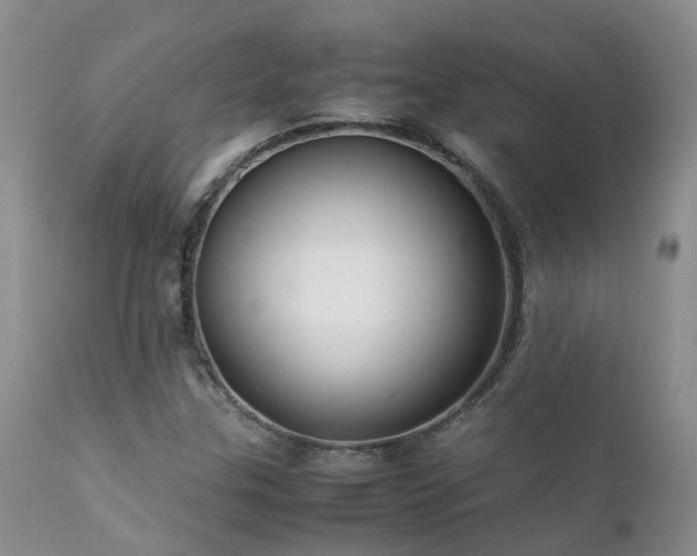 X0000112111307200908111432