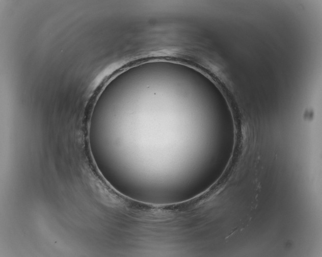 X0000112111308200908111432